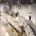 Paper Sorting Systems